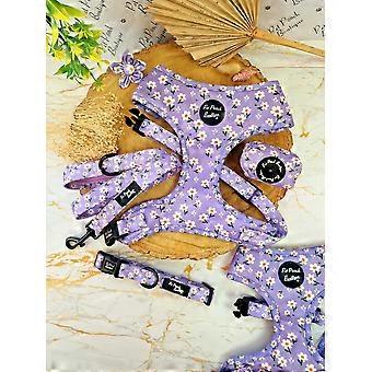 Lucky Little Lavender Daisies Flower harness or lead (for small dogs)