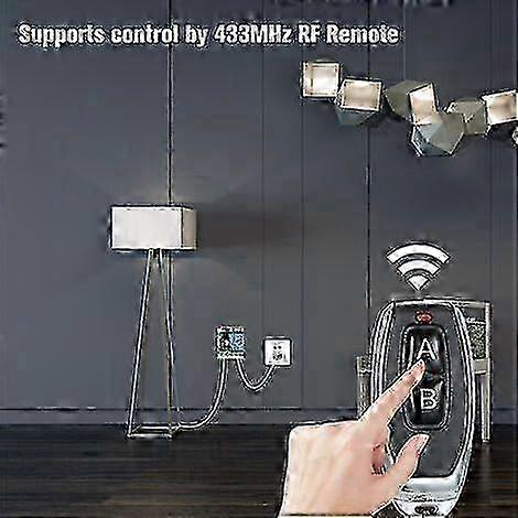 Access Controller Wireless Switch DC 12V 1Ch Remote Control Switch with 2 Remote Controls