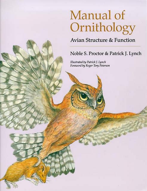 Manual Of Ornithology by Patrick J. Lynch Paperback