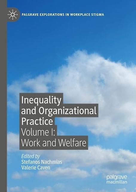 Inequality And Organizational Practice Paperback Book