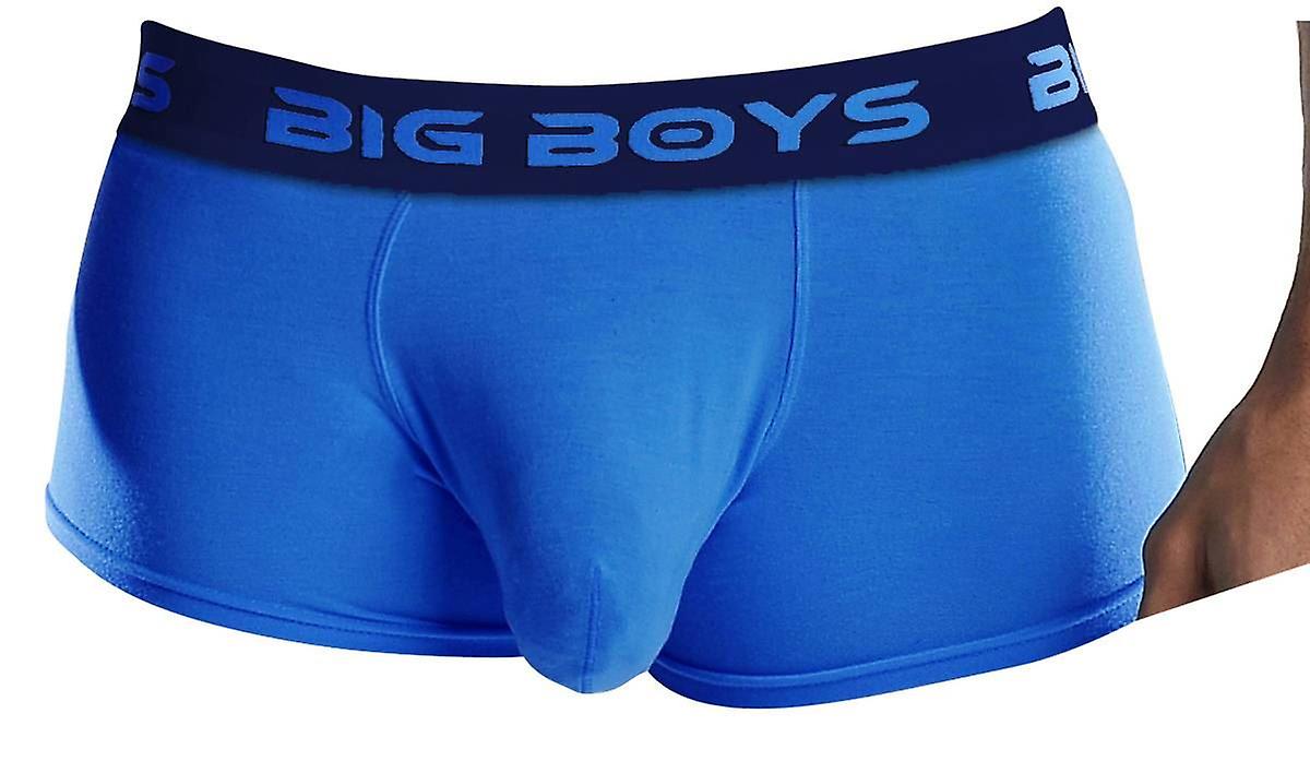 Big Boys Low Rise Briefs - Royal Blue