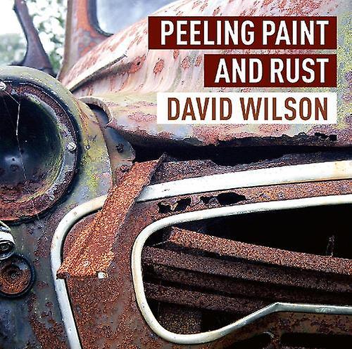 Peeling Paint And Rust by David Wilson Hardback Book