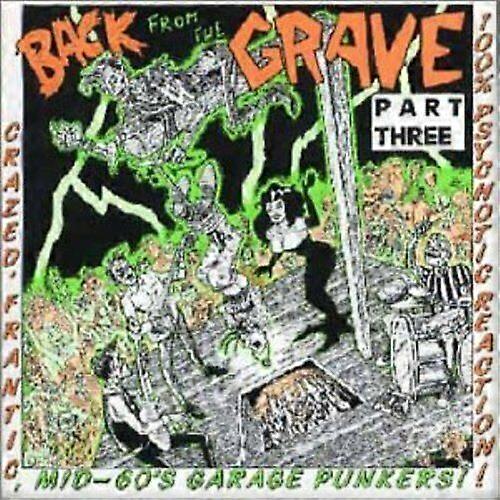Diverse artister Back from the Grave Vol.3 CD