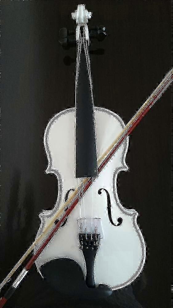 Schüler Akustik Geige komplett Ahorn Fichte mit Bogen Kolophonium