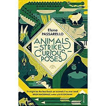 Animals Strike Curious Poses