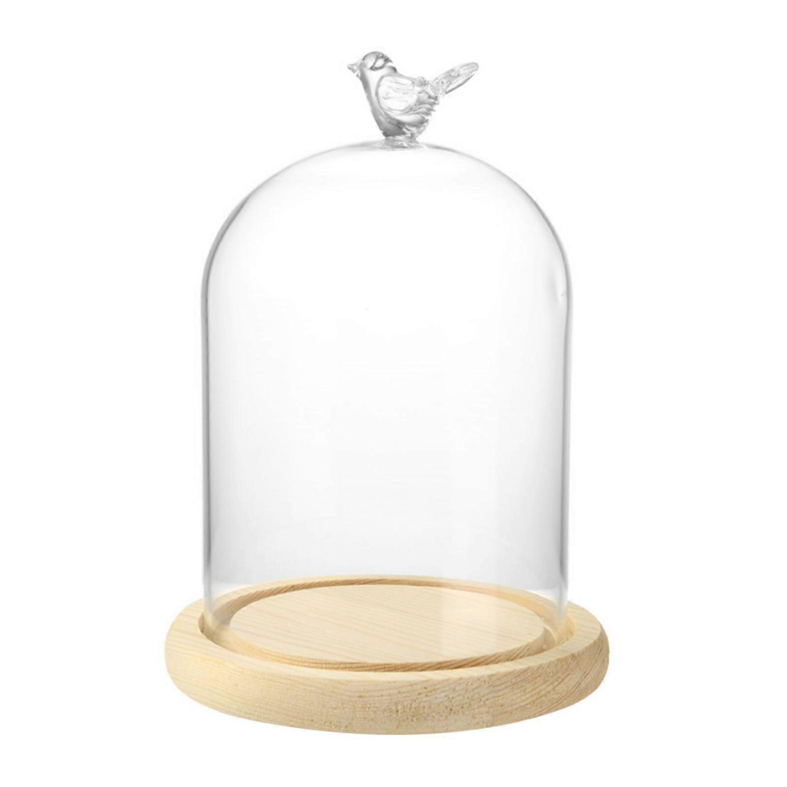 Clear Glass Display Cloche Dome With Bird Handle Wooden Base, Immortal Flower Cover Large Size Office Home Room Decoration