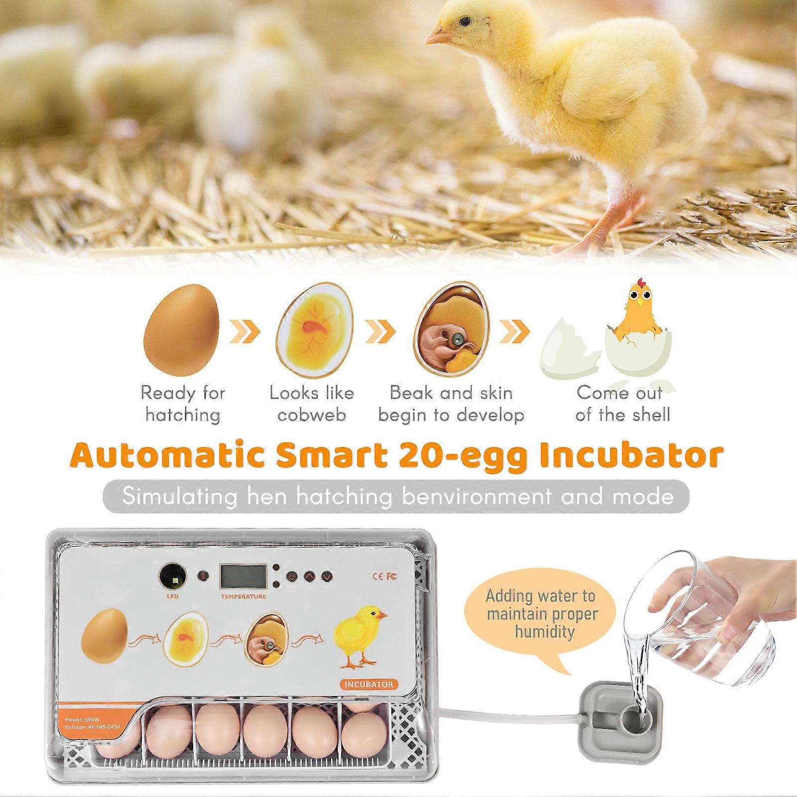 Digital Egg Incubator 20 Eggs Poultry Hatcher with Auto Egg Turning Temperature Control LED Light Temperature Humidity Alarm Incubator for Chicken Du