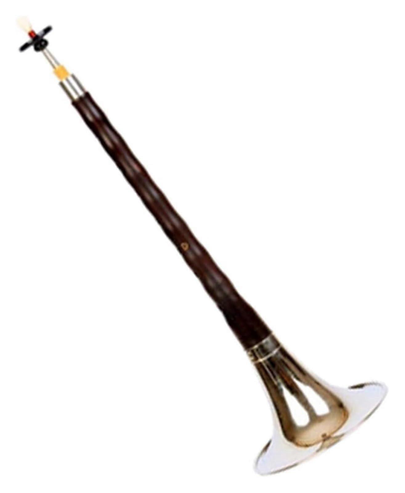 Suona, Chinese Folk Wind Instrument D Key Suona Set with Bag