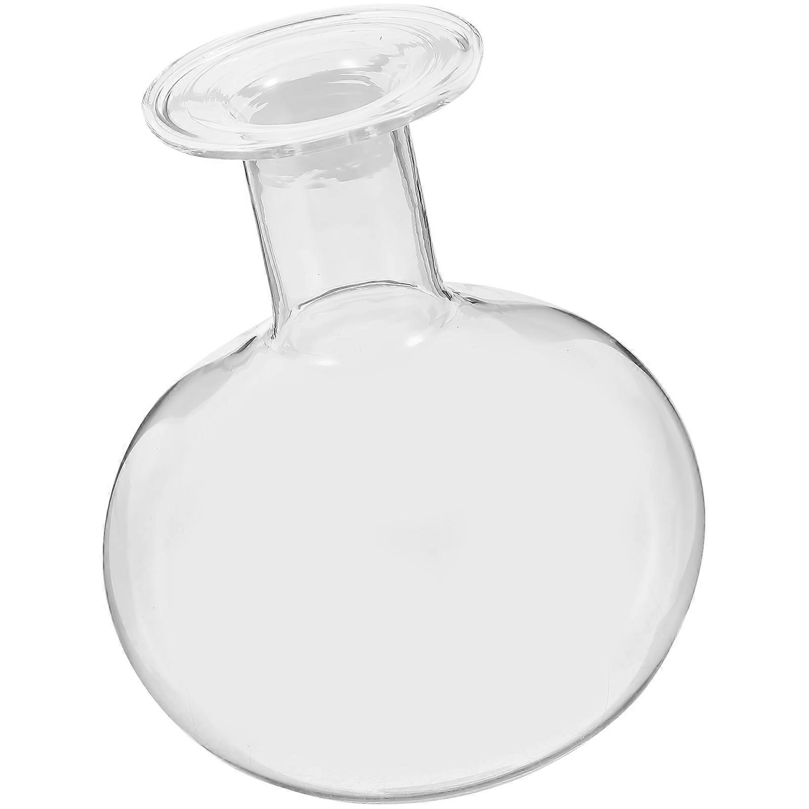 Transparent Glass Hydroponic Vase for Fresh & Dried Flowers – Small Round Belly Water Container for Creative Floral Arrangements, Home and Office