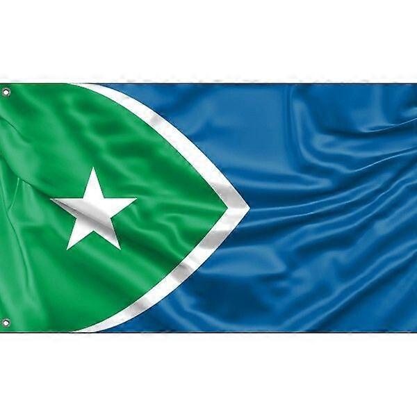 Flaga Cedar Rapids, Iowa FG1695