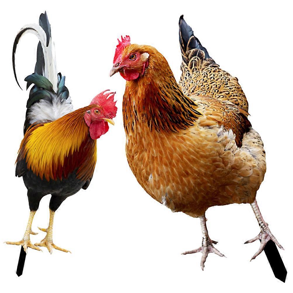 Decorative Chicken Stake for Garden Yard Art 8Pcs Pack