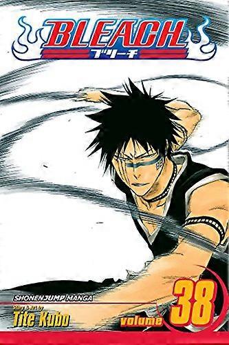 Bleach Vol. 38