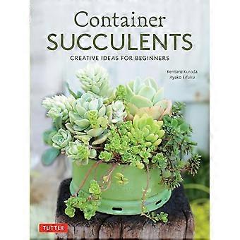 Container Succulents Creative Ideas for Beginners