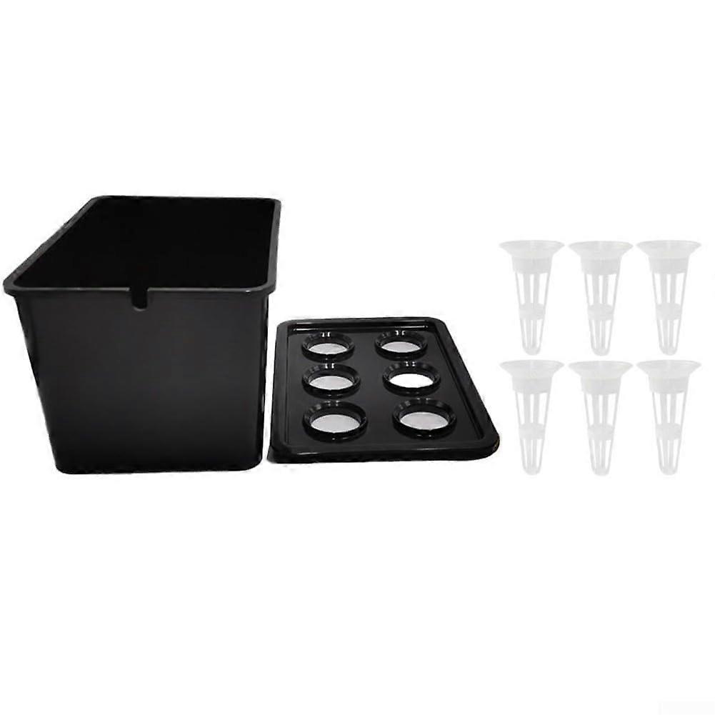 Indoor Hydroponic Kit with SelfWatering System for MultiHerb Countertop Growing (Black Tank)