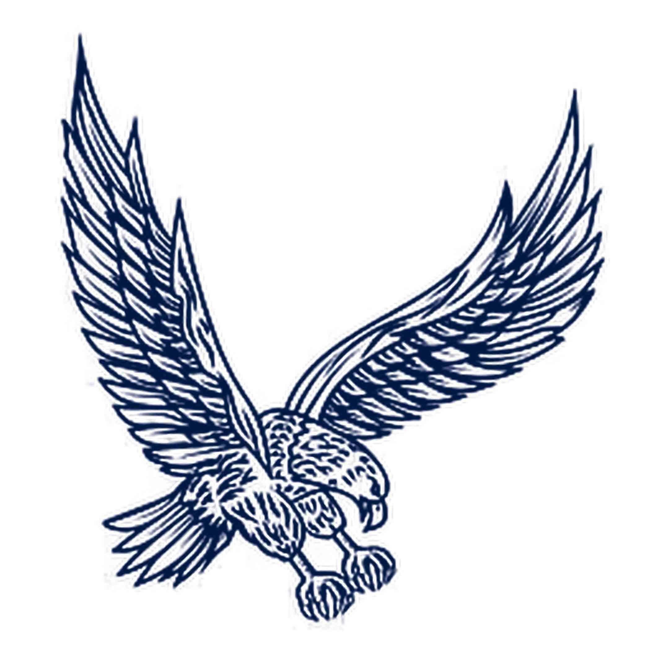 Realistic Temporary Tattoos, Eagle Design, Long Lasting Water Transfer, Easy Application, 4 Sheets
