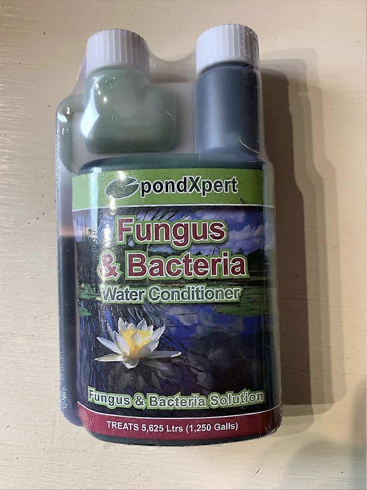 Fungus and bacteria