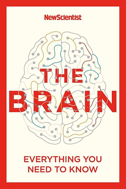 The Brain by New Scientist Paperback