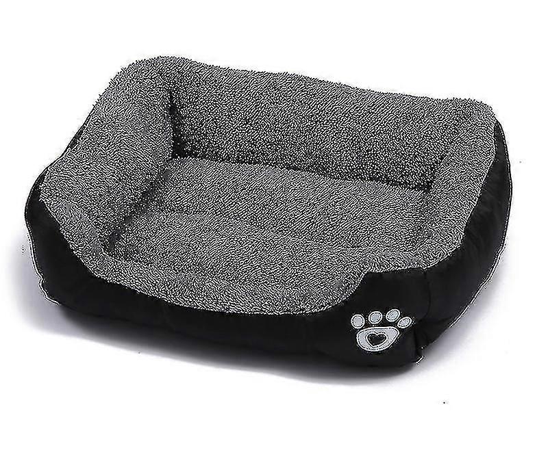 Chien Doux Bedc p