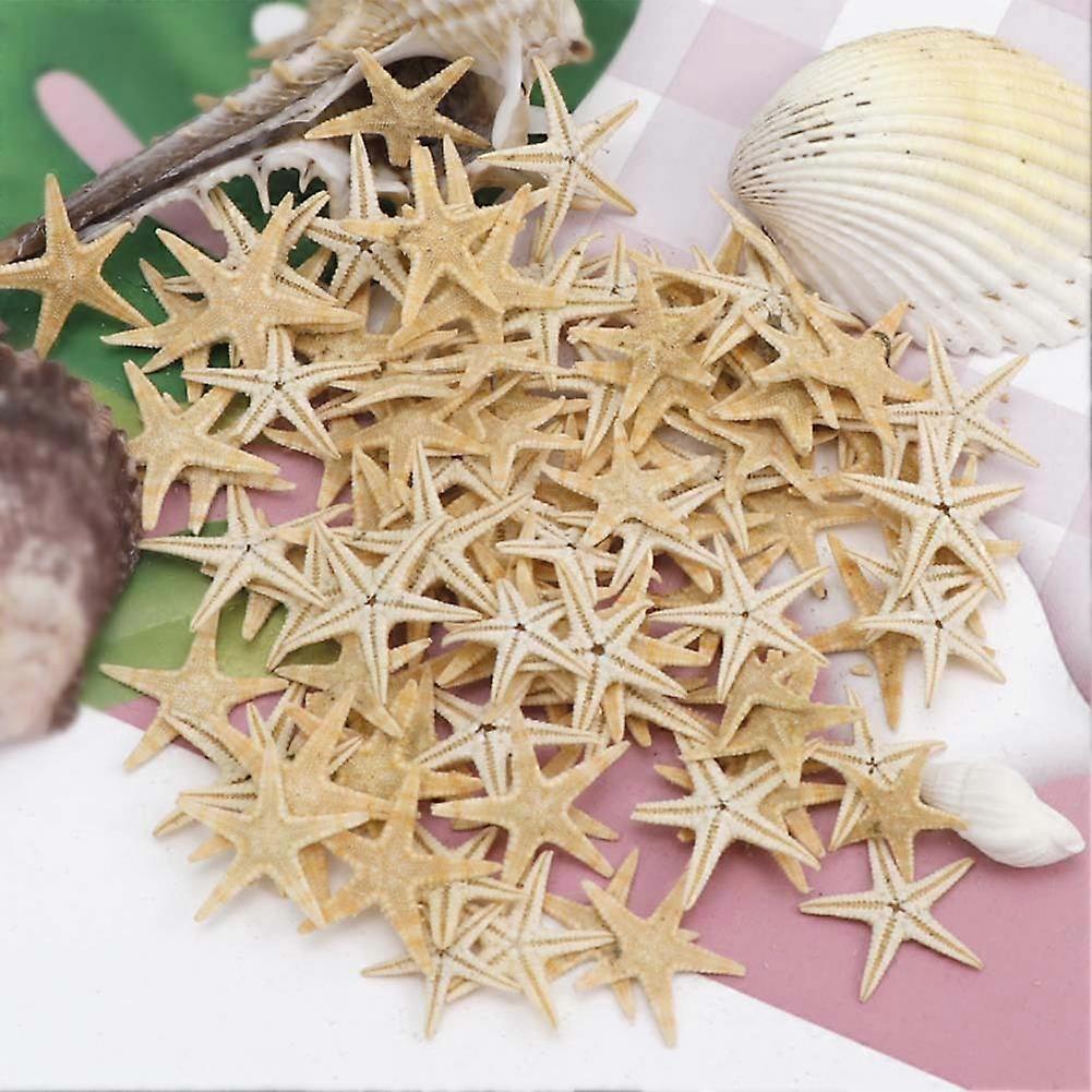 Beautiful White Starfish Wide Application Multi-purpose Reusable Realistic White Star Sea Shell Sea Star Small Size