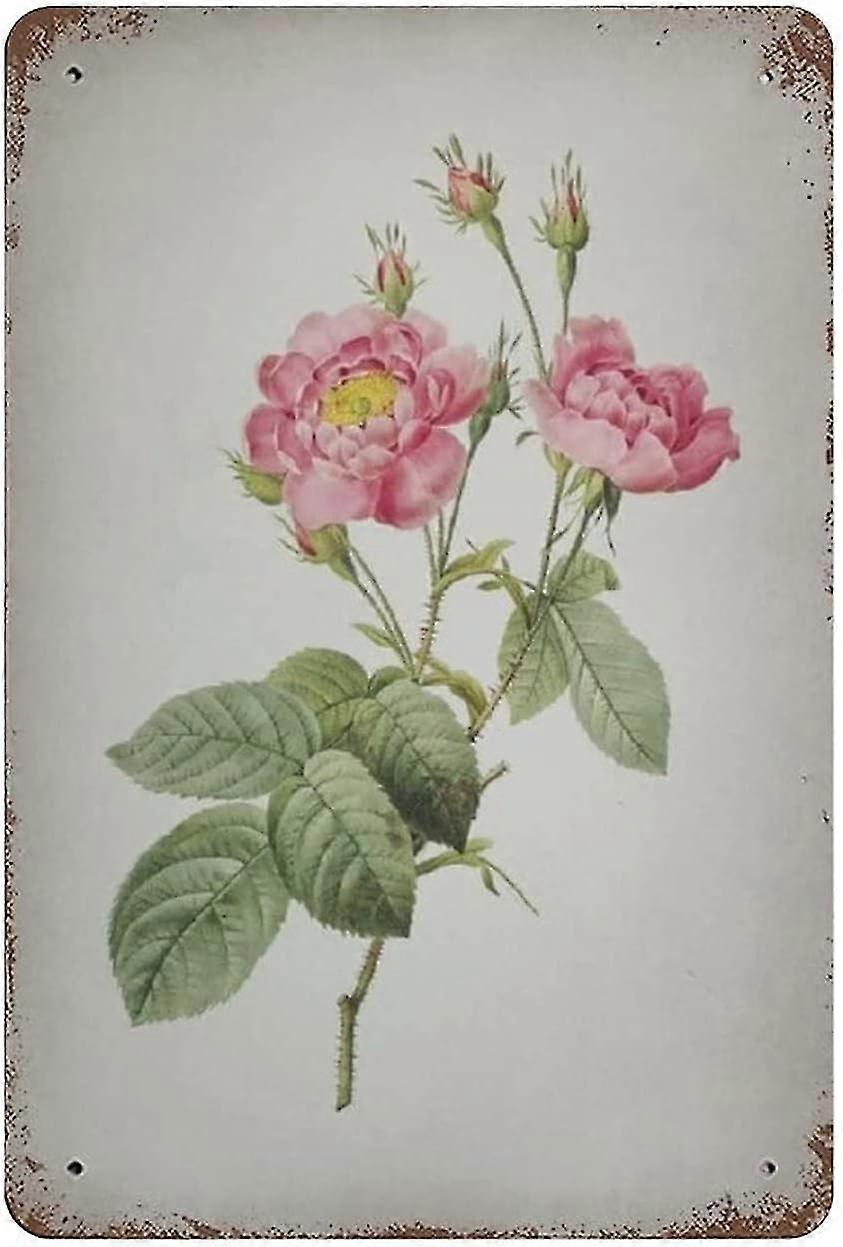 Placa de Metal Allium Scorzonera Folium Decoração 8x12 Polegadas OU 12x16 Polegadas Modo 1945