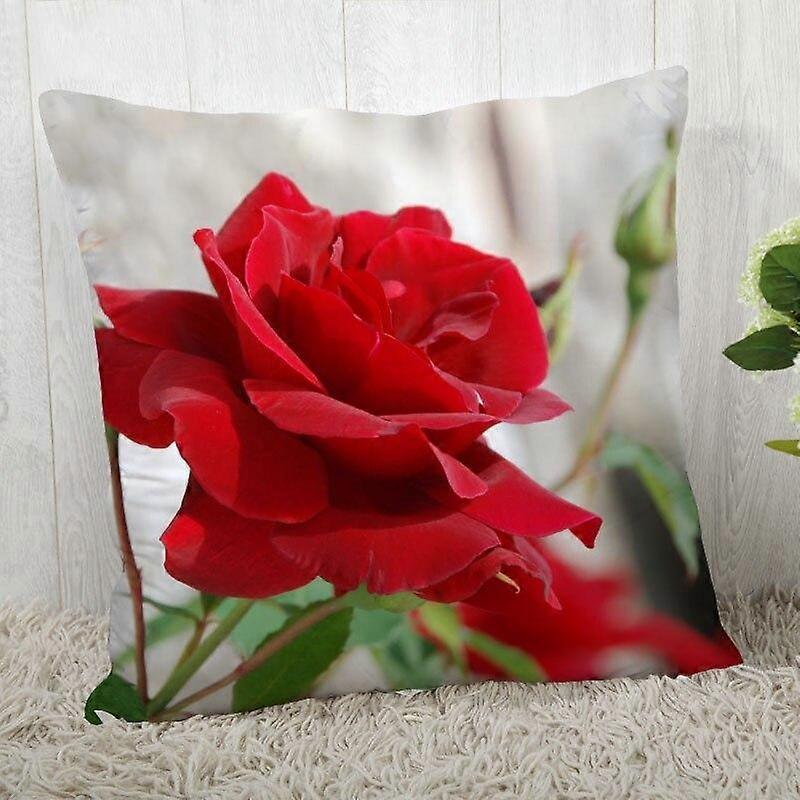 Print Pillowcase Sofa Cushion Cover Design Style -1344