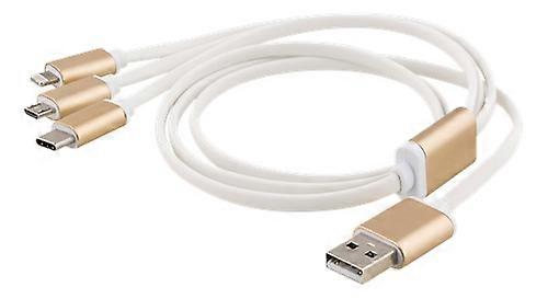 Epzi 3-in-1 Kabel Lightning/Micro/USB-C - 1 m - Gold