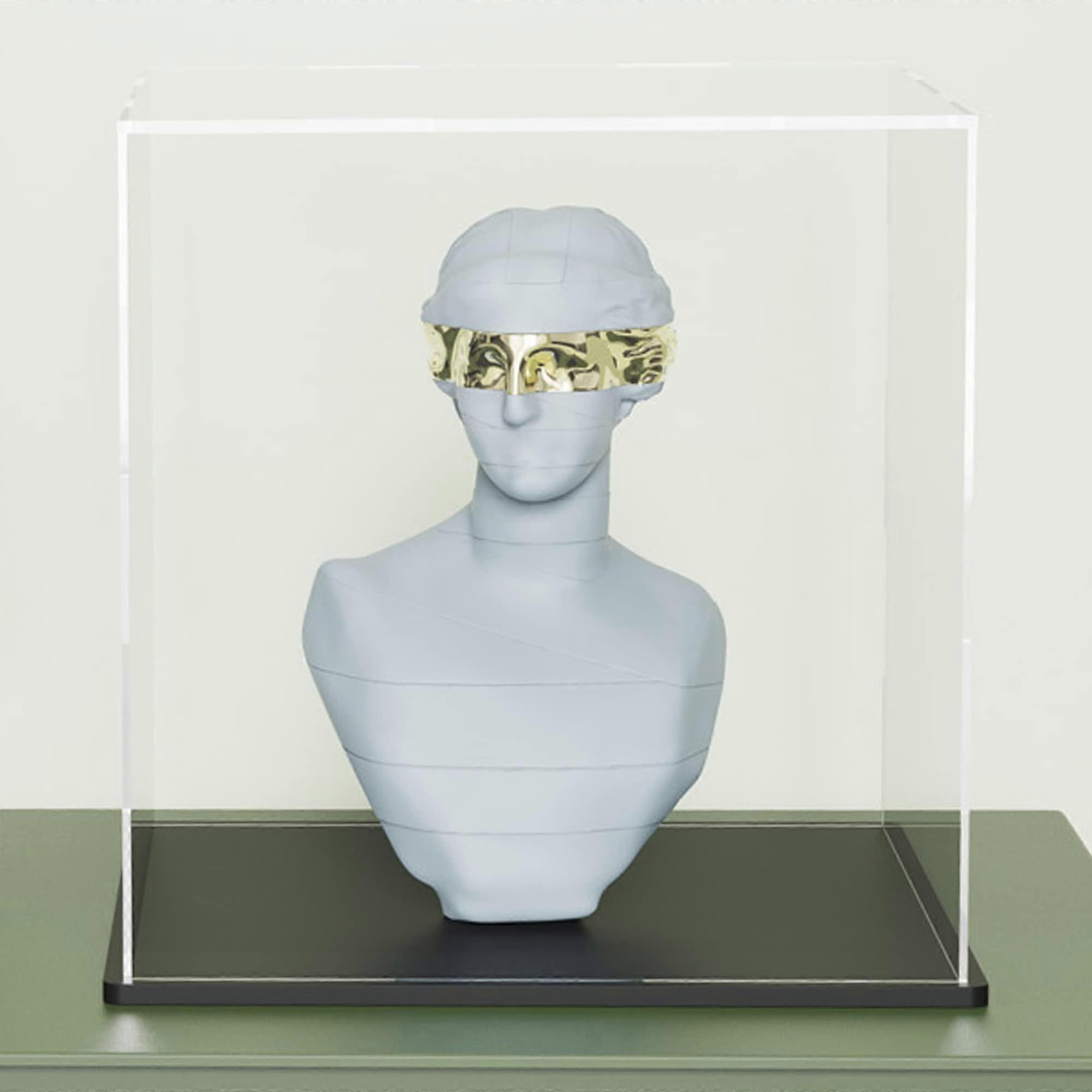 Clear Acrylic Display Case Collectibles for Figures 8x8x9.6 Inch