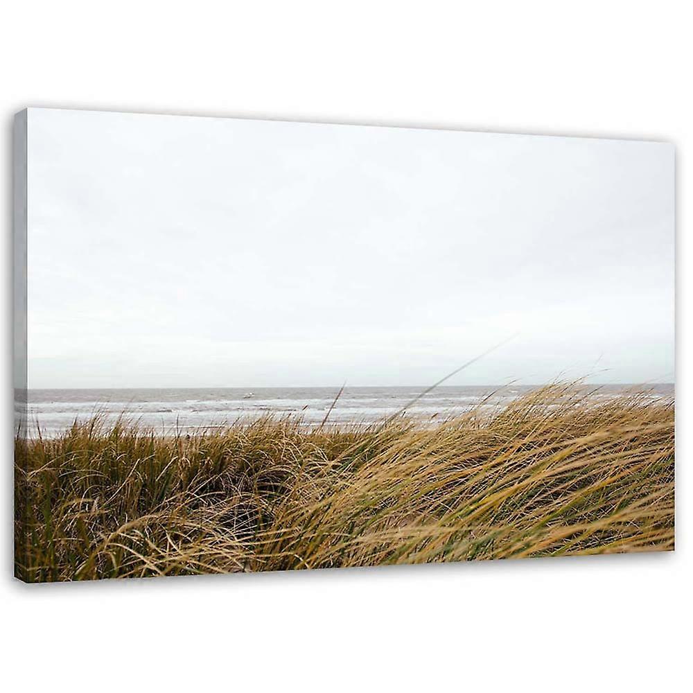 Leinwandbild, Gras am Meeresufer - 60x40