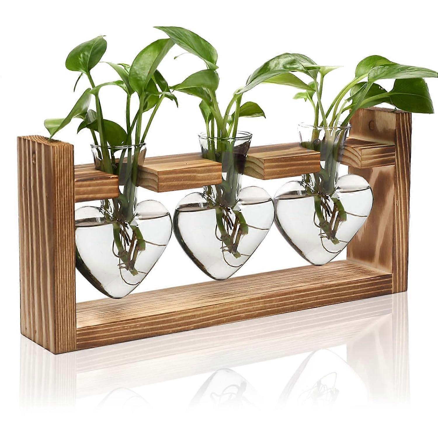 Plant Propagation Station with Wooden Stand - 3 Heart Shaped Glass Vases for Hydroponics and Desktop Plant Display