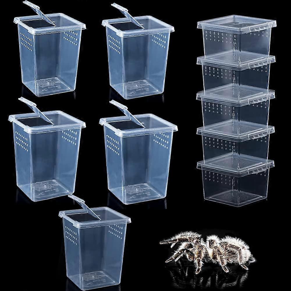 10 Pack Spider Terrariums Breeding Box Small Reptile Hatching Container Acrylic (5 High5 Small)