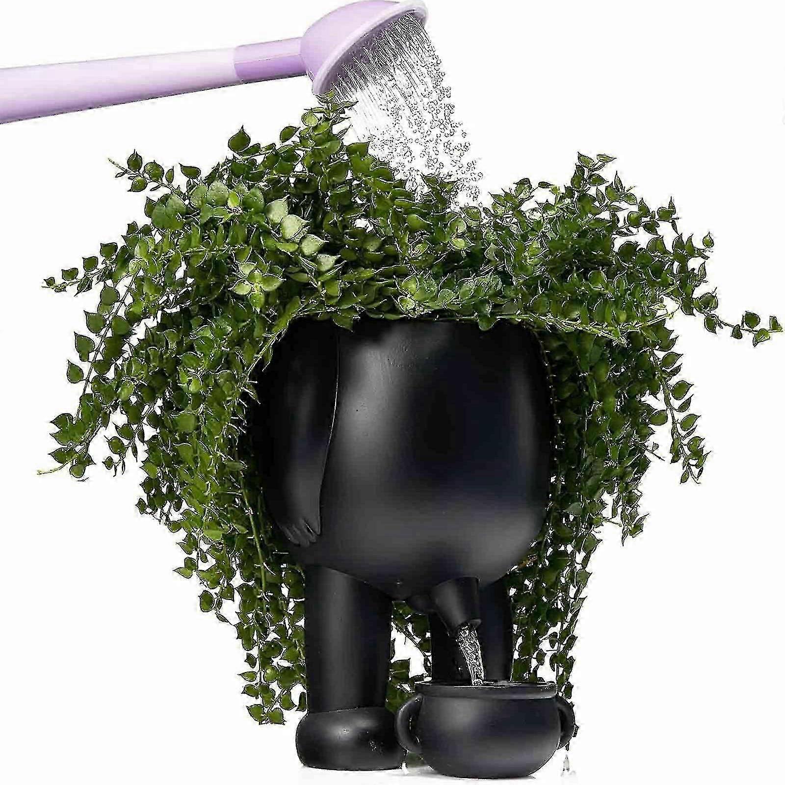小便盆种植器,植物小便盆,撒尿植物盆,花盆有趣的花瓶家居