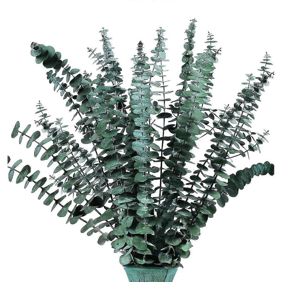16Pcs-Preserved-Dried-Eucalyptus-Branches for Vase Filler