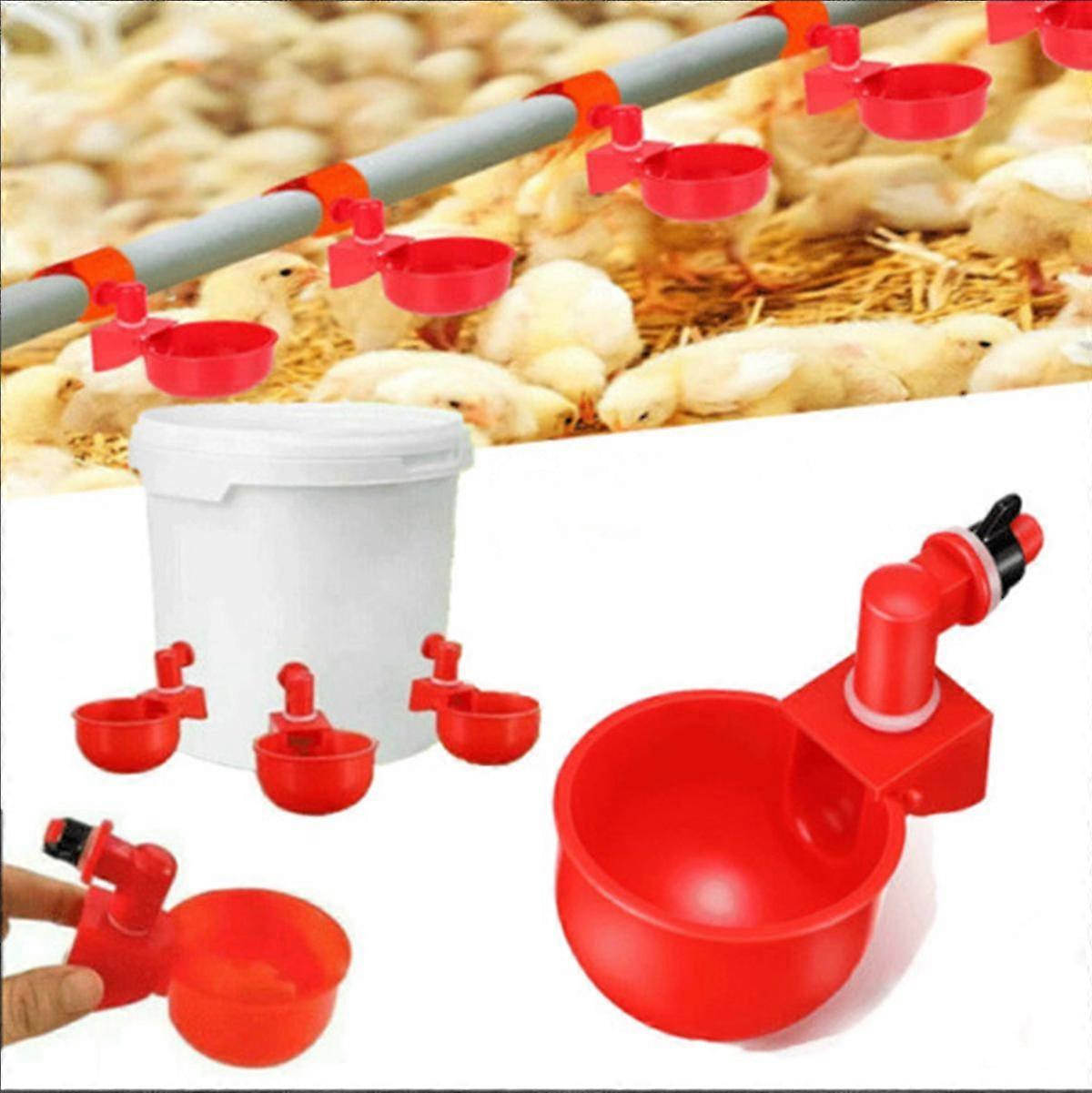 6 PCS Automatic Water Cups Poultry Drinker Waterer Chicken Duck Quail Drinking