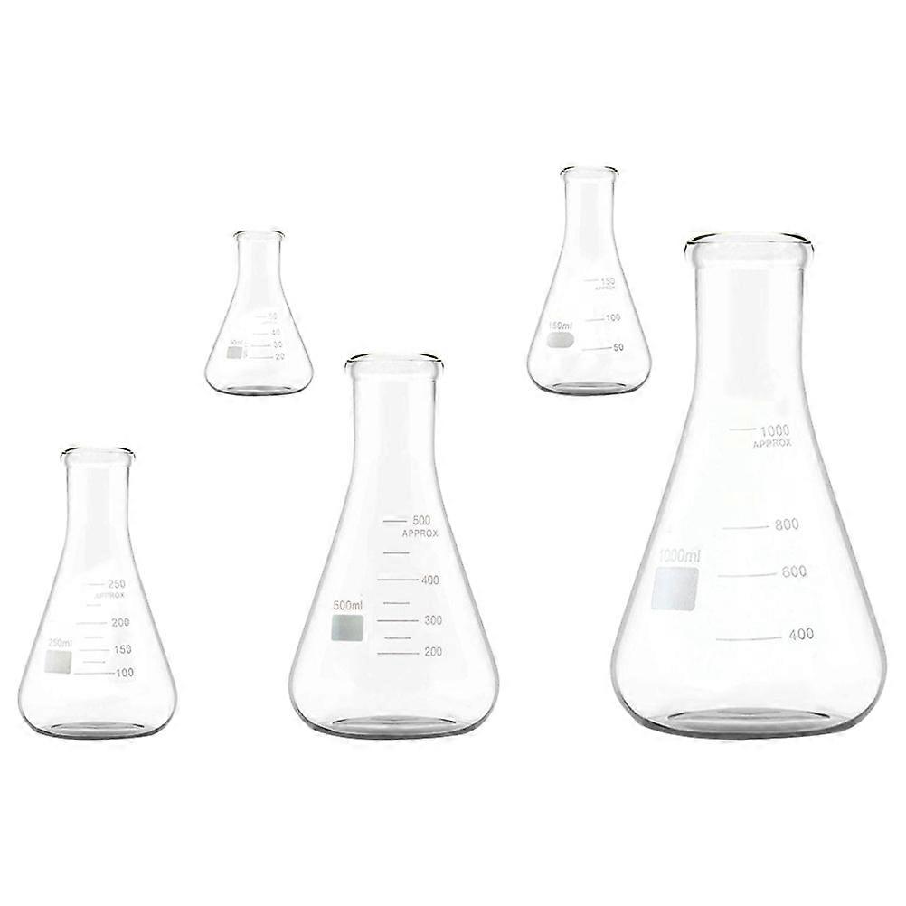 Erlenmeyer Borosilicate Flask Glass for Storage Use 5Pcs Conical Set