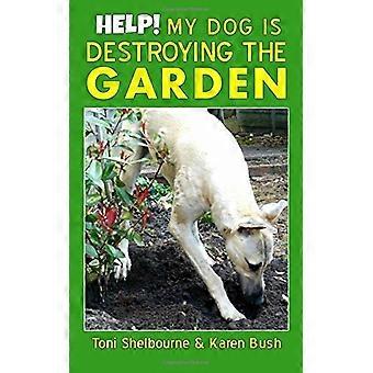 Guida! Il mio cane sta distruggendo il giardino