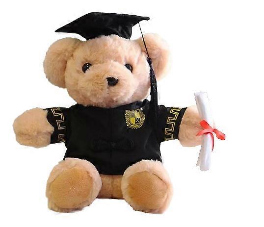 Graduation Bear Plush Doll