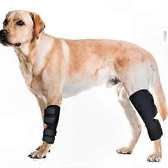 Large Dog Hock Support with Dual Springs