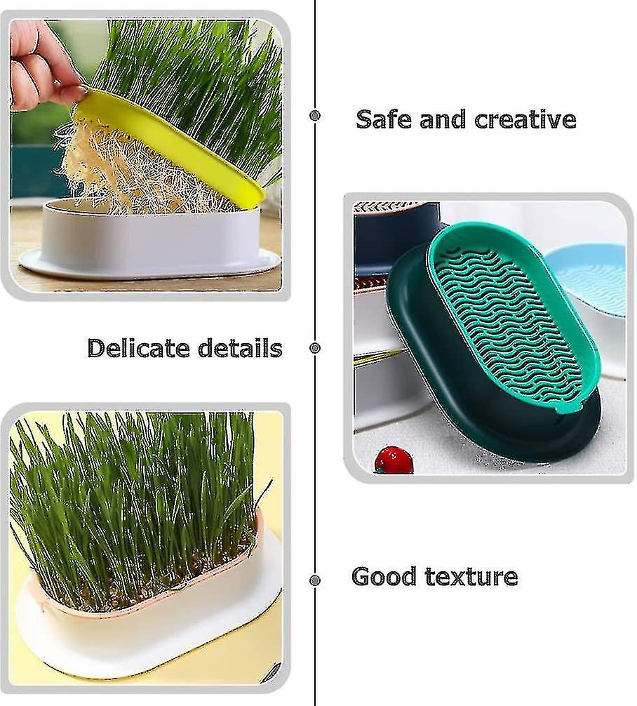 Cat Grass Planter Tray+cat Grass Seeds, Plastic Catnip Cat Grass Box