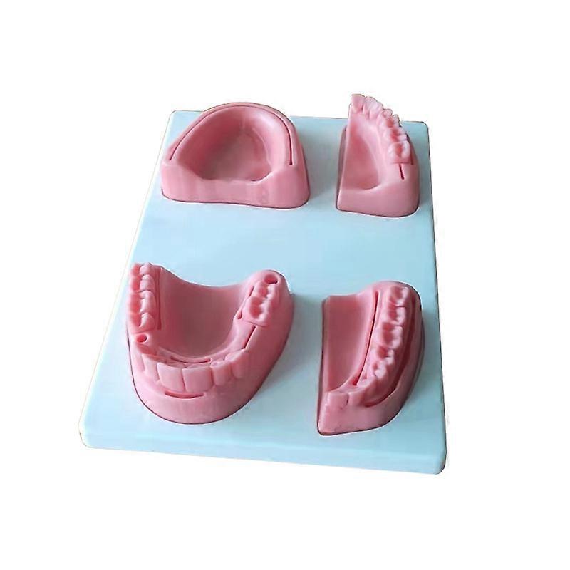 Oral suture training model silicone dental module dental training teaching equipment with base