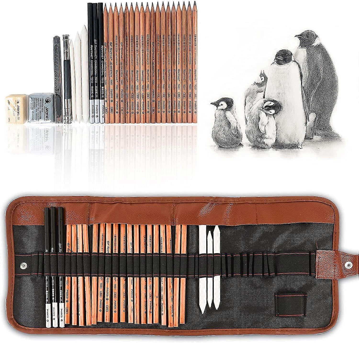 29 Pieces Professional Sketng Drawing Art Tool Kit With Graphite Pencils, Choal Pencils, Paper Erasable Pen, Craft Knife-(without Sketchbook