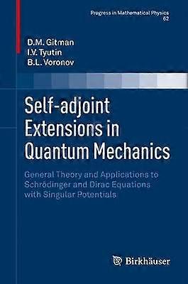 Self-adjoint Extensions in Quantum Mechanics