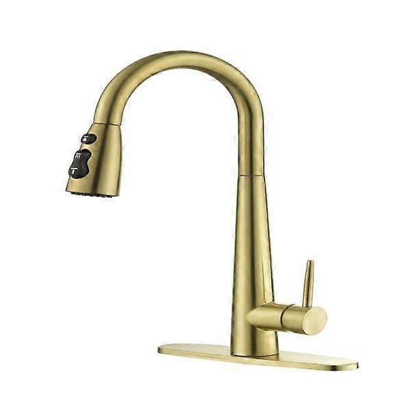 Gold Kitchen Faucet with Pull Down Sprayer, Fingerprint Resistant, Single Handle Copper Design,