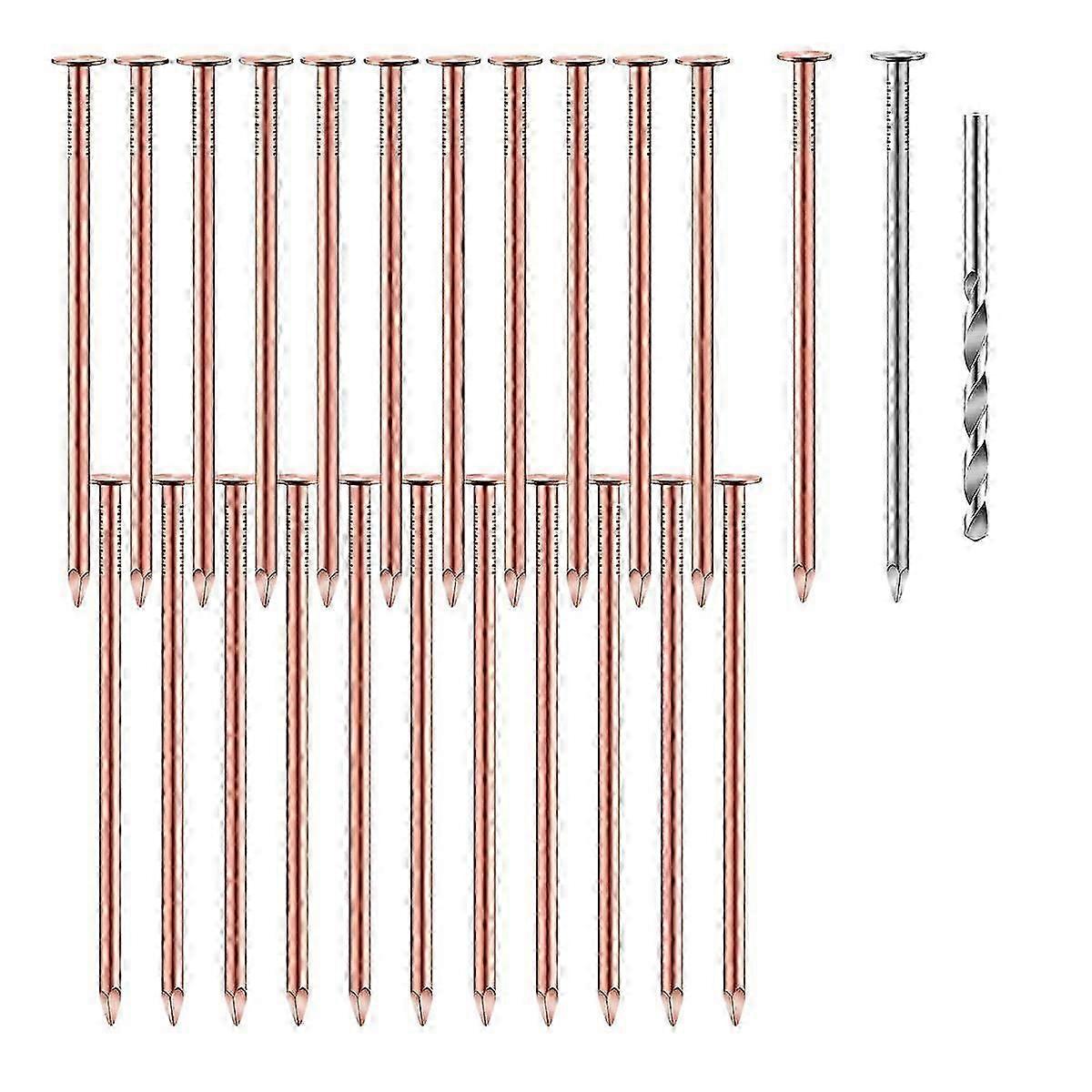 25 Pcs Copper Nails to Killing Trees,3.5 Inch Pure Copper Nails Bulk,Stump Removal Spikes Hardware Nails suitable for Trees