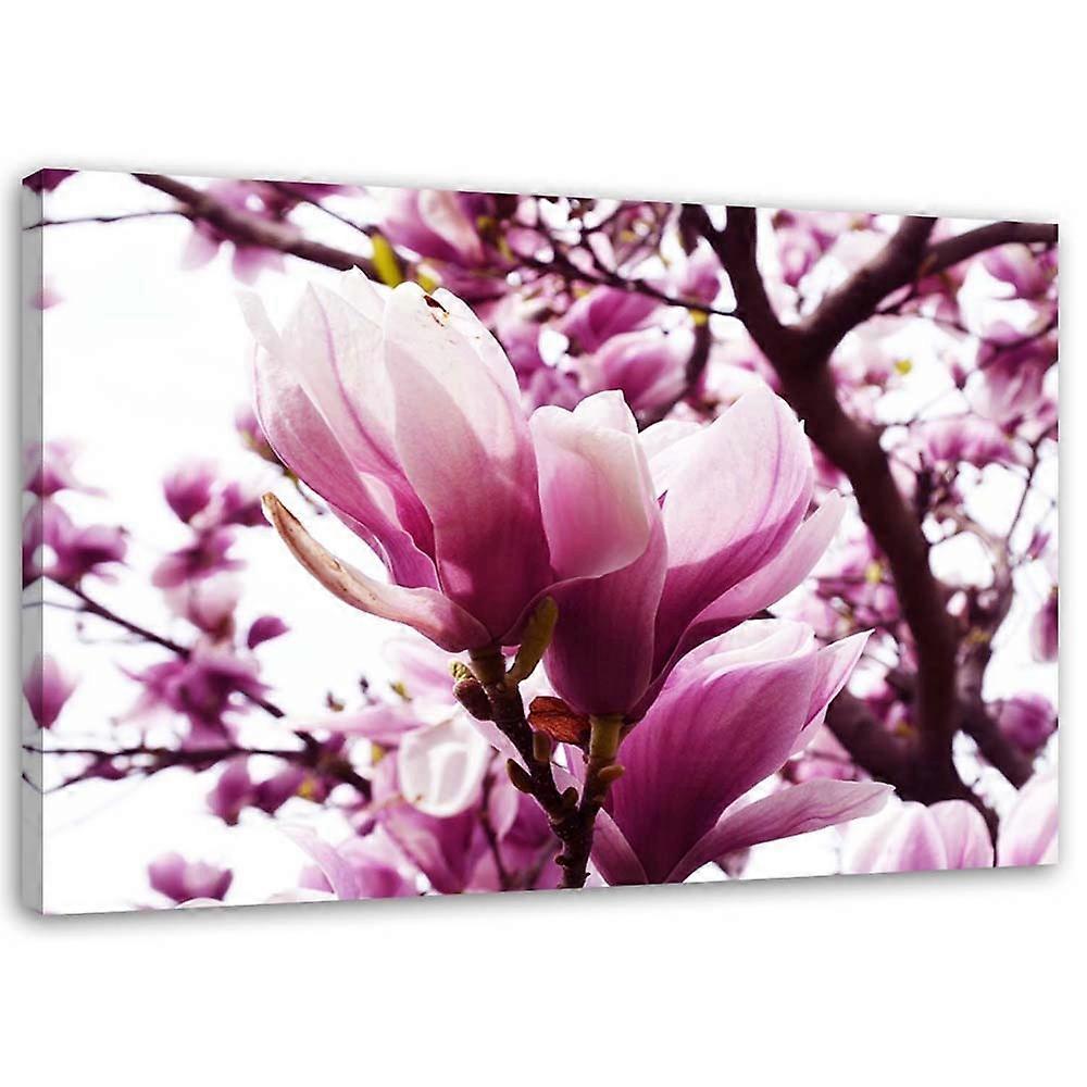 Impression sur toile, Magnolia fleuri - 90x60