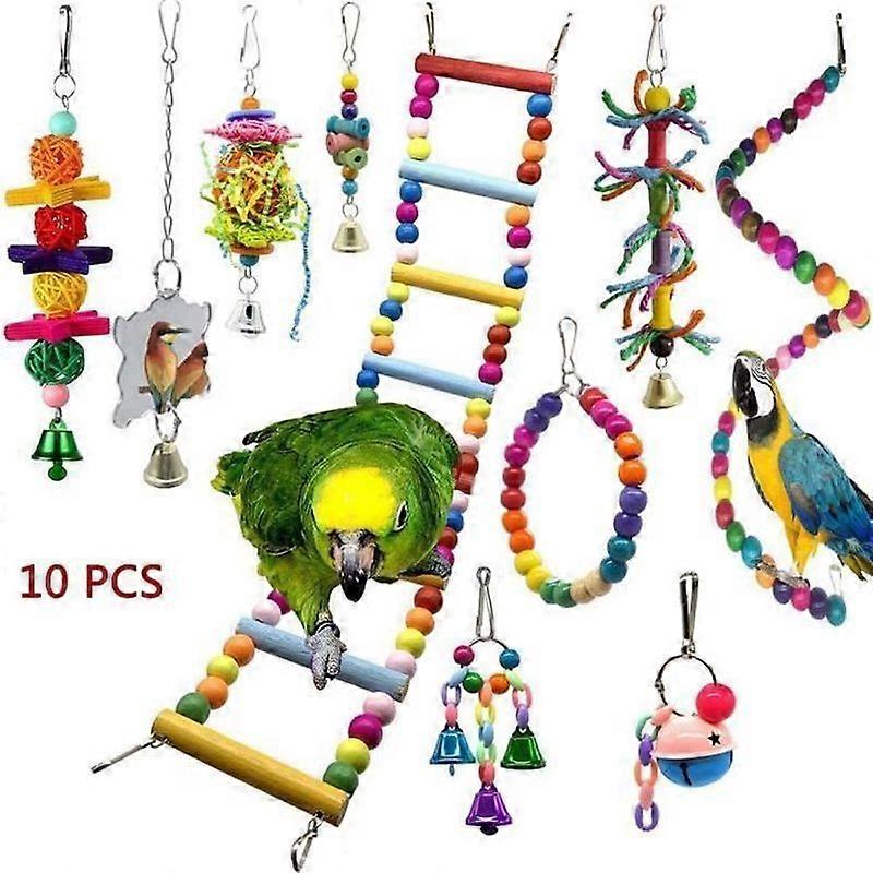 10pcs Small Parrot Bird Toy