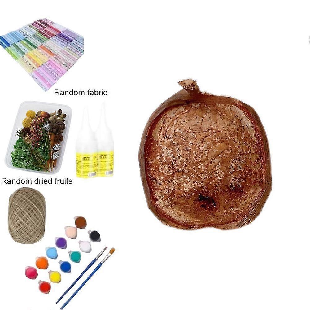 Bean Pod DIY Material Pack Vine Pod DIY Plant Ugly Cute Material Package