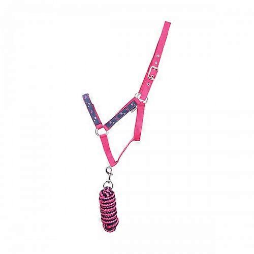 Jinete Sabrina Caballo Headcollar y Leadrope