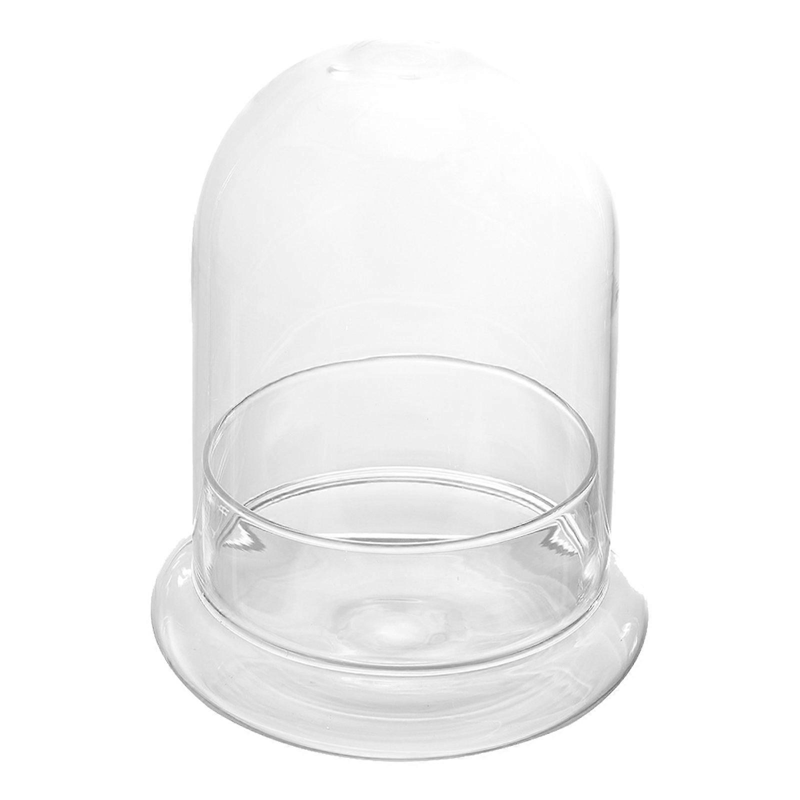 1Pc Glass Ecological Bottle Decorative Microlandscape Bottle Landscape Bottle