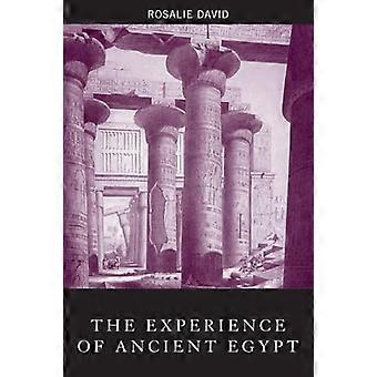 Die Erfahrung des alten Ägypten (Erfahrung der Archäologie)
