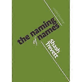 Namngivning av namn